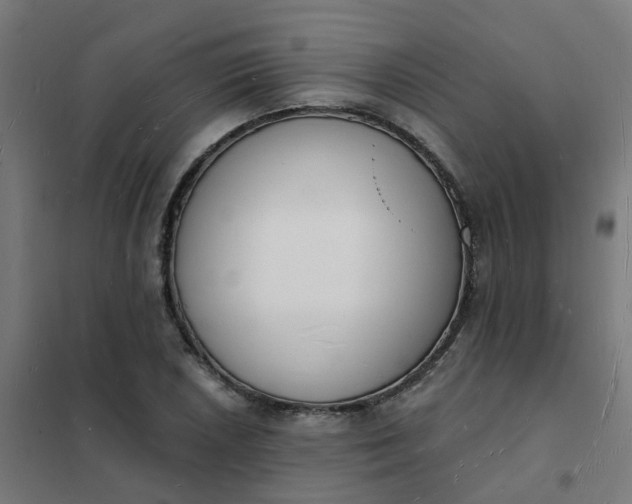 X0000101691026200807241404