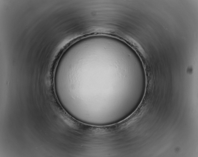 X0000101691027200807241404