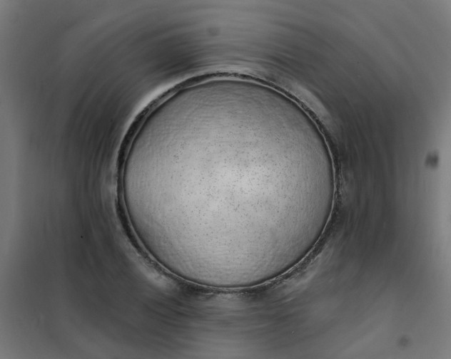 X0000101691028200807241404