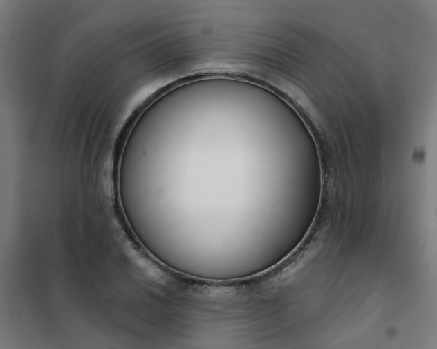 X0000101691030200807241404