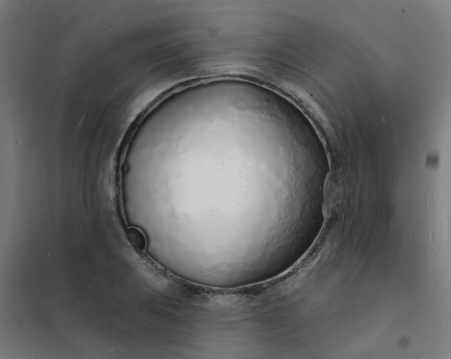 X0000101691031200807241404