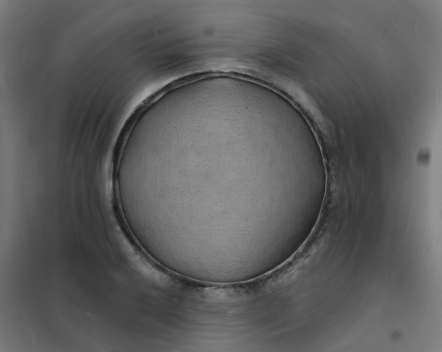 X0000101691032200807241404