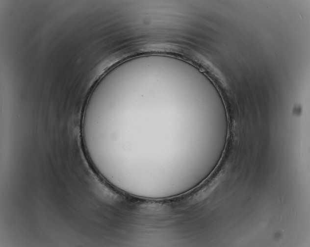 X0000101691033200807241404