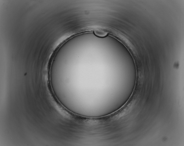 X0000101691034200807241404