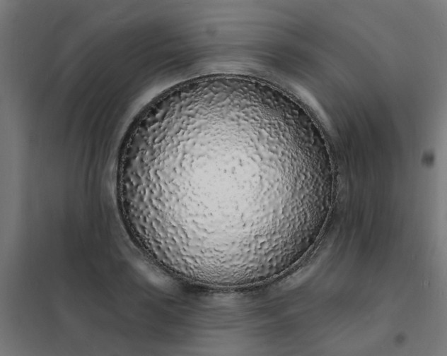 X0000101691035200807241404