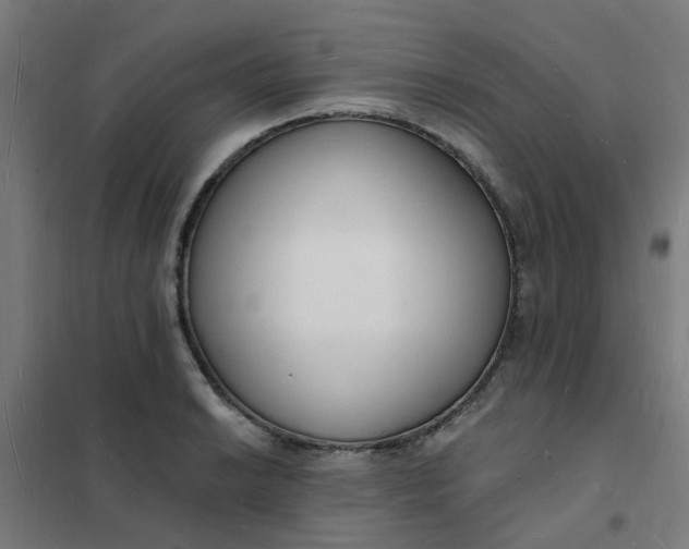 X0000101691038200807241404