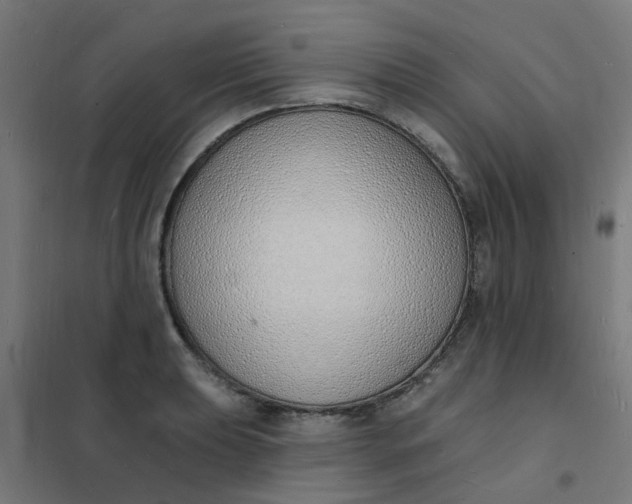 X0000101691039200807241404