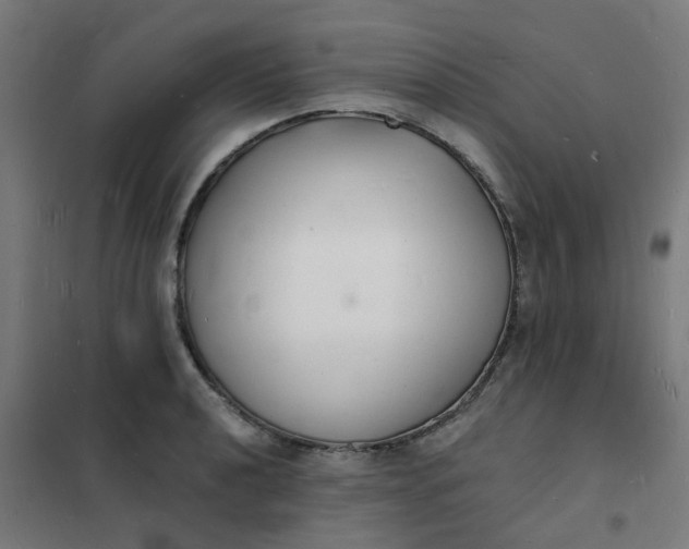 X0000101691040200807241404