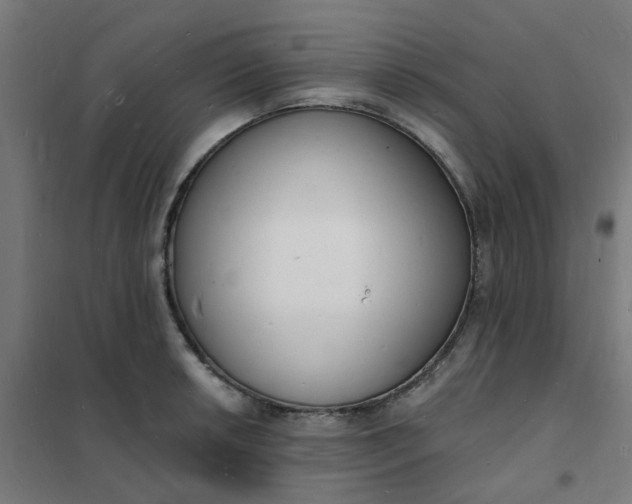 X0000101691042200807241404