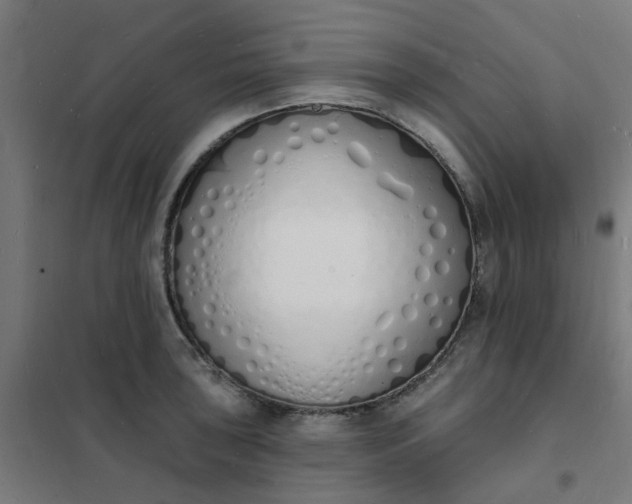 X0000101691043200807241404