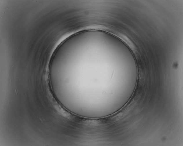 X0000101691044200807241404