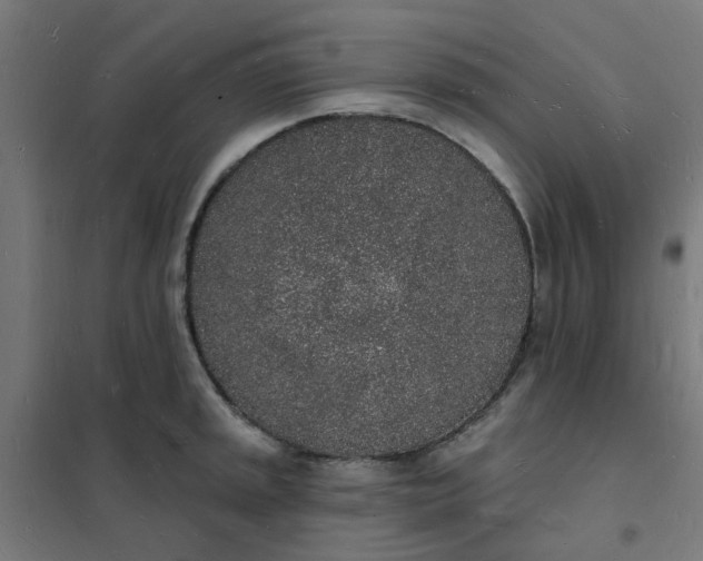 X0000101691045200807241405