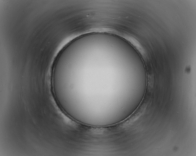 X0000101691046200807241405