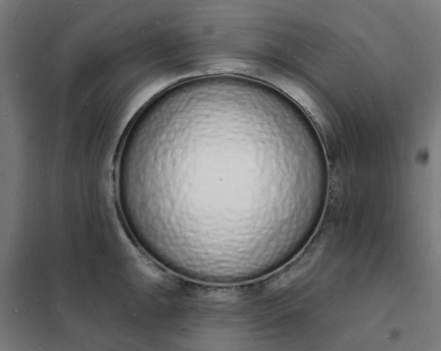 X0000101691047200807241405