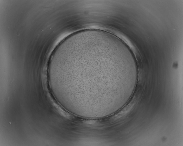 X0000101691048200807241405