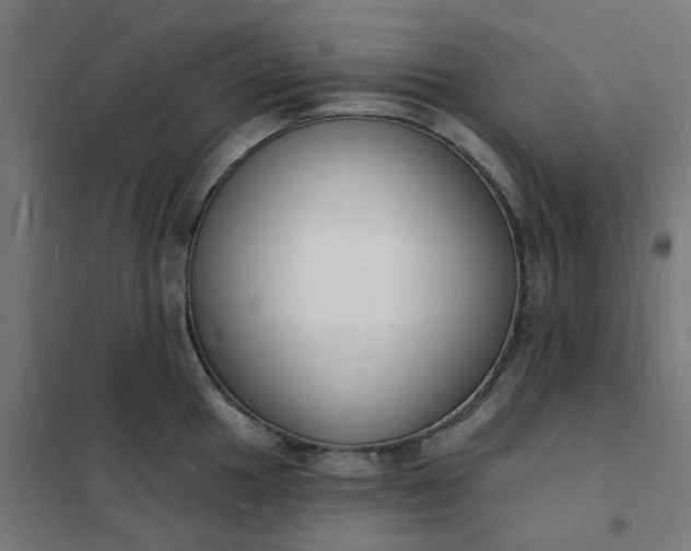 X0000101691049200807241405