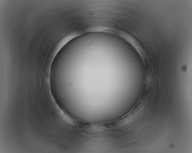 X0000101691050200807241405