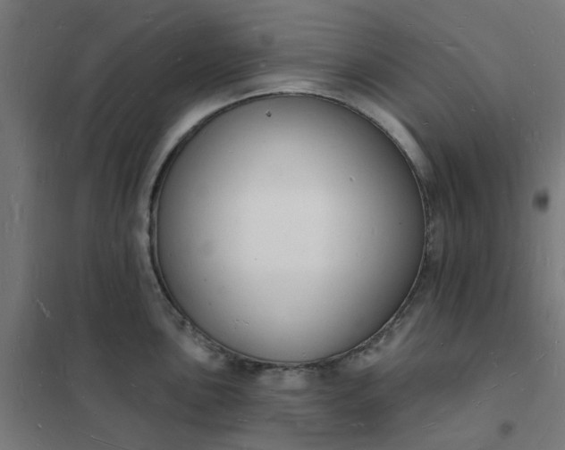 X0000101691051200807241405