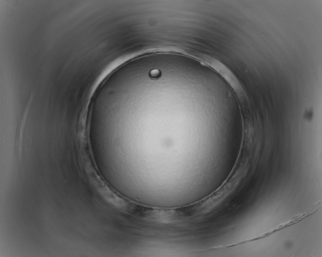 X0000101691052200807241405