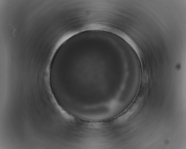 X0000101691053200807241405