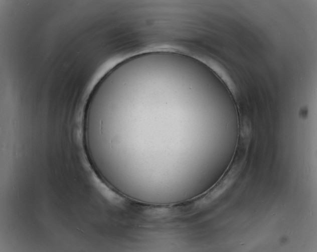 X0000101691054200807241405