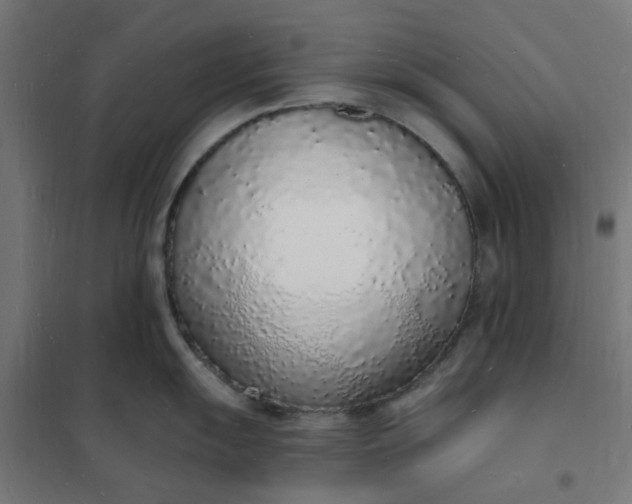 X0000101691055200807241405