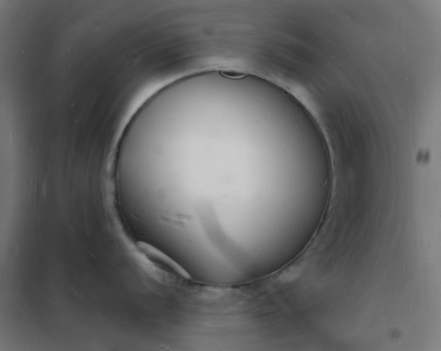 X0000101691056200807241405