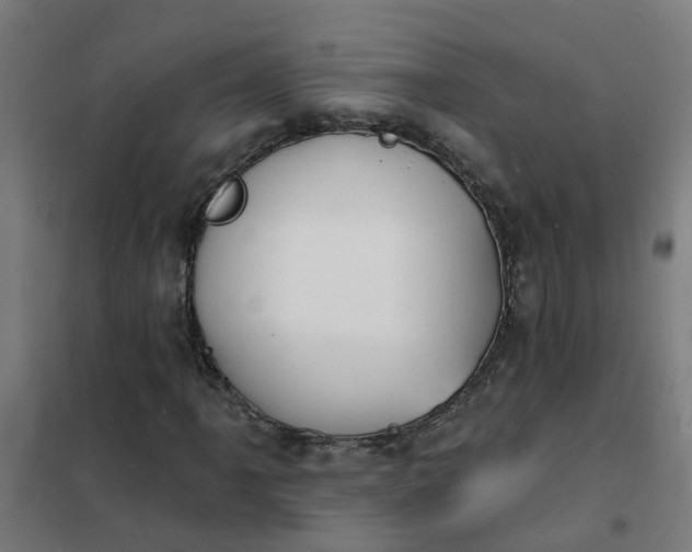 X0000101691061200807241404