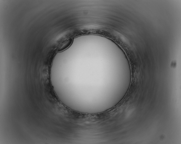 X0000101691062200807241404