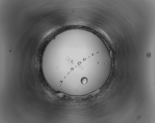 X0000101691064200807241404