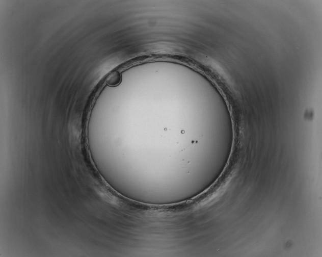 X0000101691065200807241404