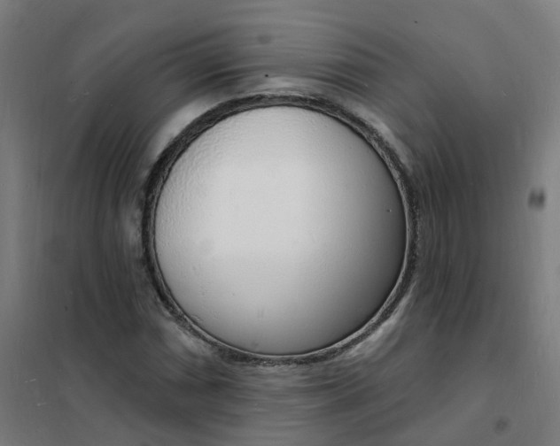 X0000101691066200807241404