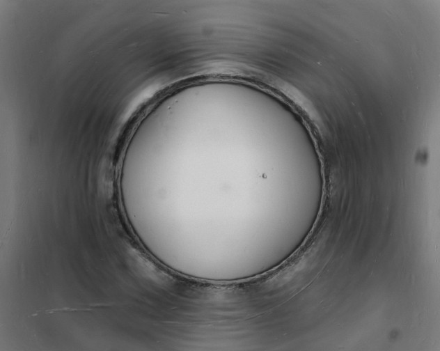 X0000101691067200807241404