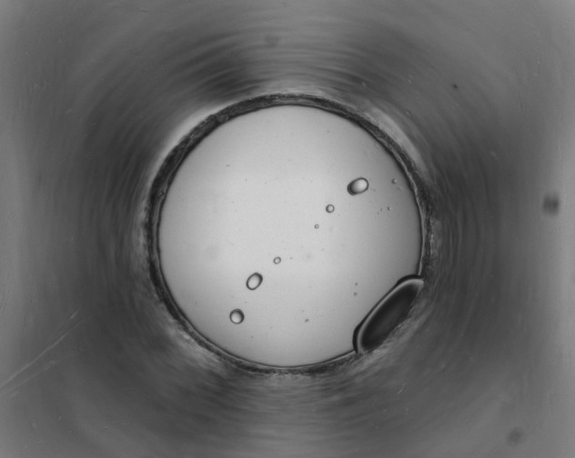 X0000101691068200807241404