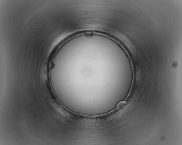 X0000101691069200807241404