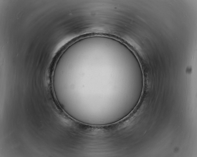 X0000101691070200807241404