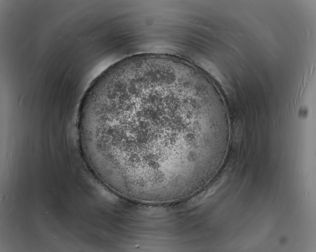 X0000101691071200807241404