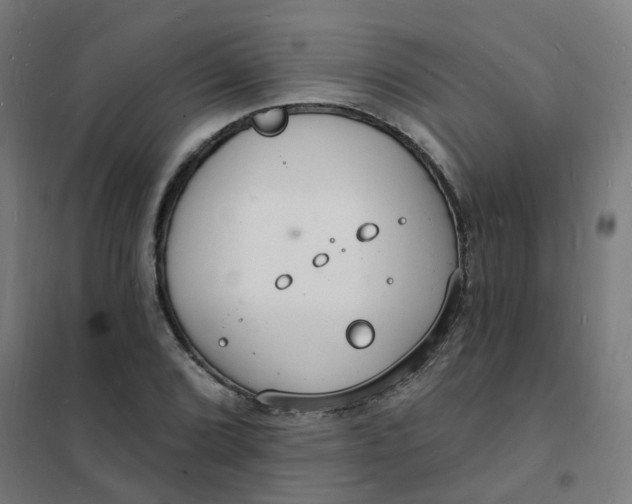 X0000101691072200807241404