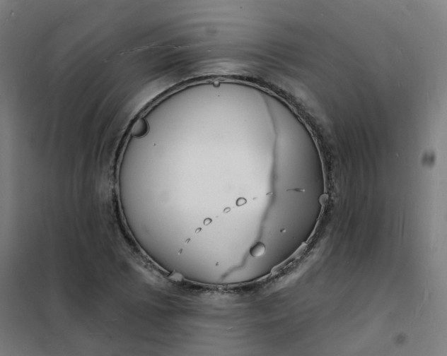 X0000101691073200807241404