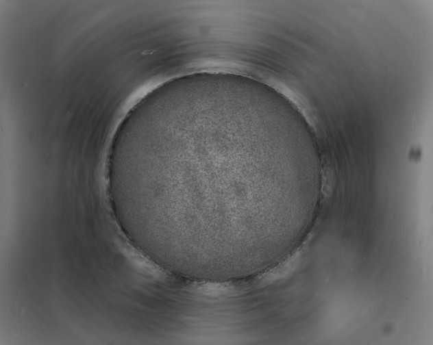 X0000101691074200807241404