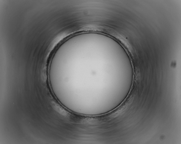 X0000101691075200807241404