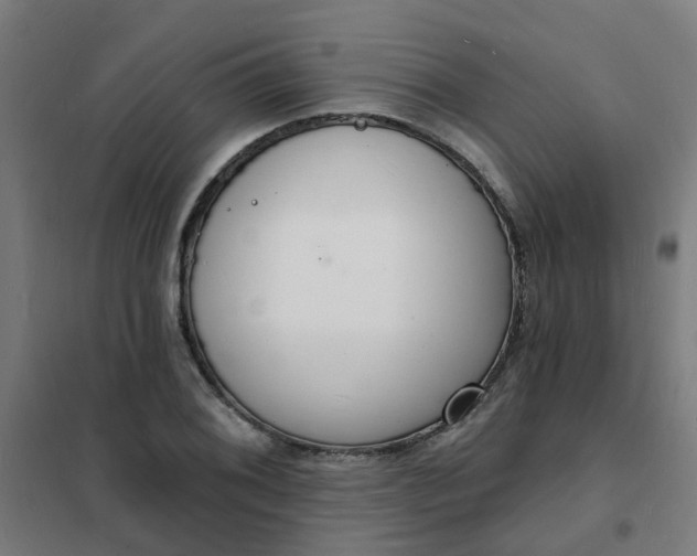 X0000101691076200807241404