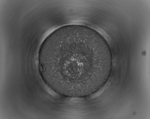 X0000101691077200807241404