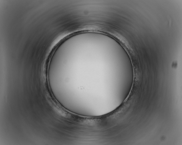 X0000101691078200807241404