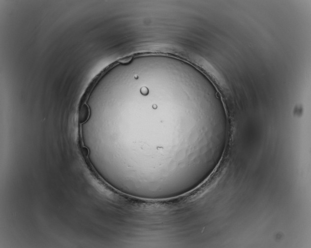 X0000101691079200807241404