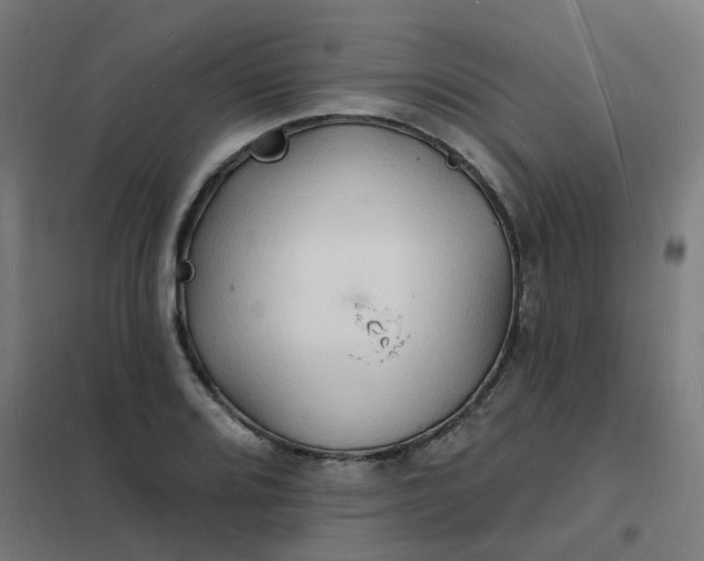 X0000101691080200807241404