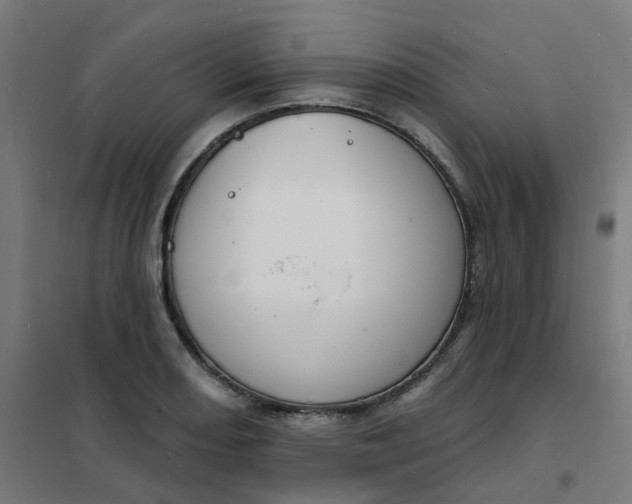 X0000101691082200807241404