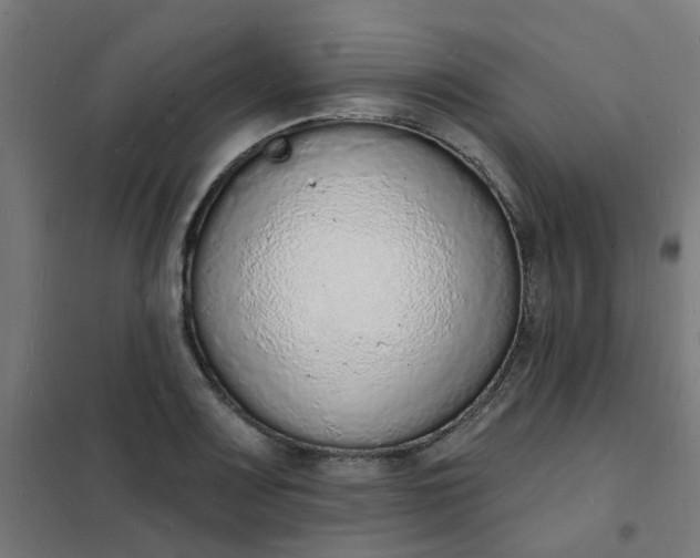 X0000101691083200807241404