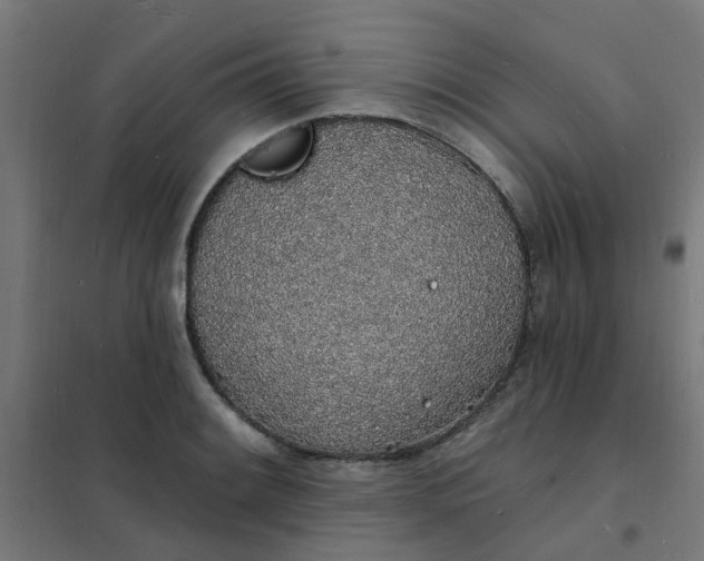 X0000101691084200807241404