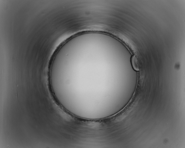 X0000101691085200807241404